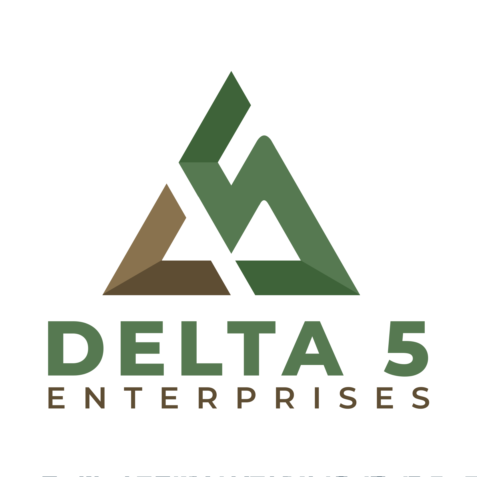 Logo for Delta Five Enterprises Ltd